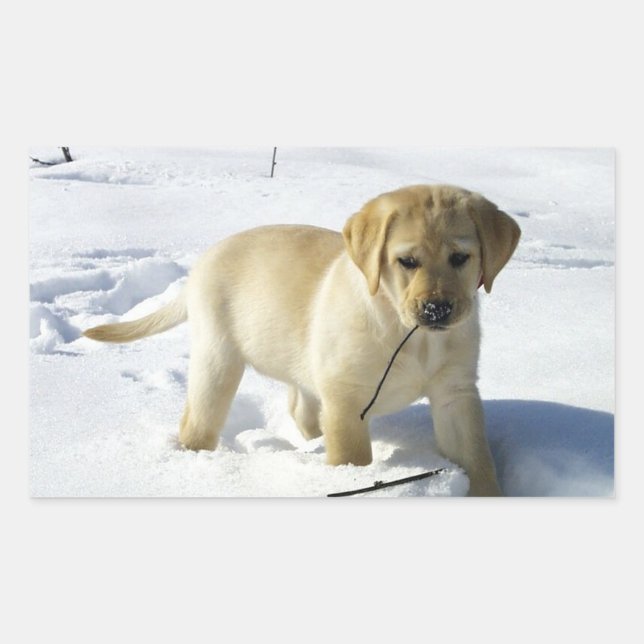 LR gelbe Labrador Welpe im Schnee Rechteckiger Aufkleber (Vorderseite)