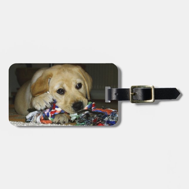 LR gelbe Labrador Welpe mit Spielzeug Gepäckanhänger (Vorderseite horizontal)
