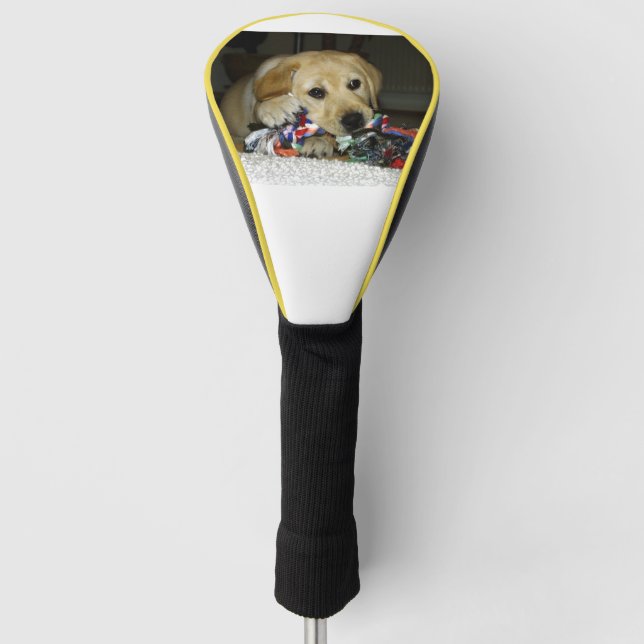 LR gelbe Labrador Welpe mit Spielzeug Golf Headcover (Vorderseite)