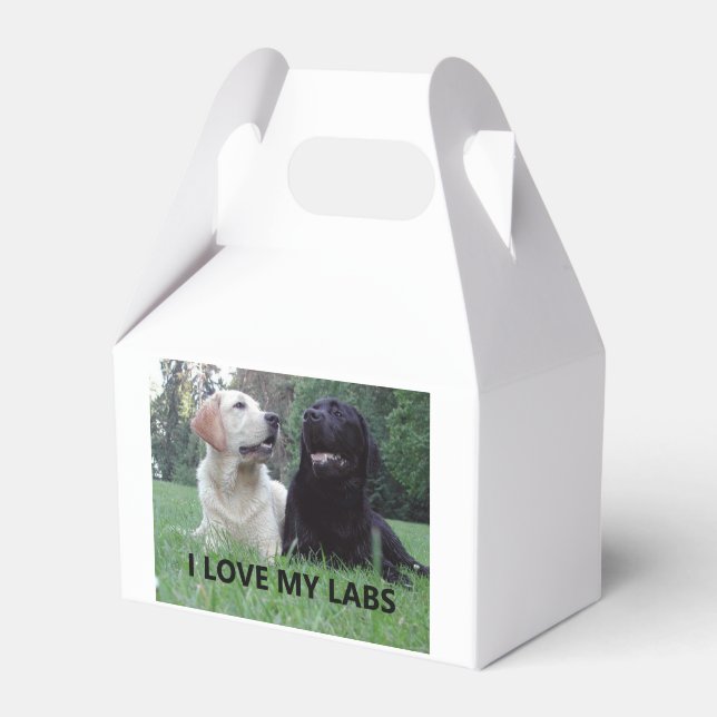 LR I Liebe meine Labradore mit Bild Geschenkschachtel (Vorderseite)