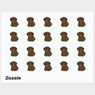 LR kawaii Schokolade Labrador Cartoon Quadratischer Aufkleber