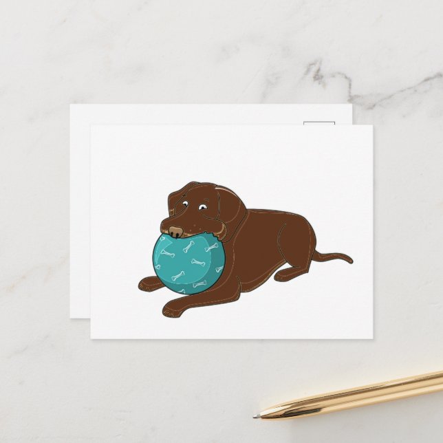 LR Schokolade Labrador Kaukugel Cartoon Postkarte (Vorderseite/Rückseite Beispiel)