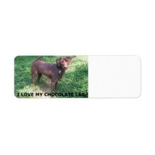 LR Schokolade Labrador Liebe mit Bild