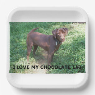 LR Schokolade Labrador Liebe mit Bild Pappteller