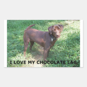 LR Schokolade Labrador Liebe mit Bild Rechteckiger Aufkleber
