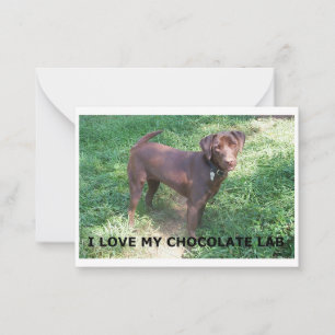 LR Schokoladenlabrador Liebe mit Bild Mitteilungskarte