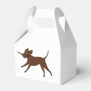 LR SchokoladenLabrador mit Stock Geschenkschachtel