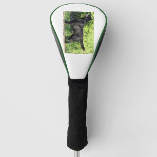 LR schwarzes Labor Golf Headcover