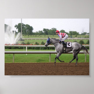 LSP-Serie (2) Poster