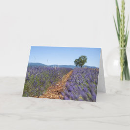 Luberon Lavendel Felder, Provence, Frankreich - Karte