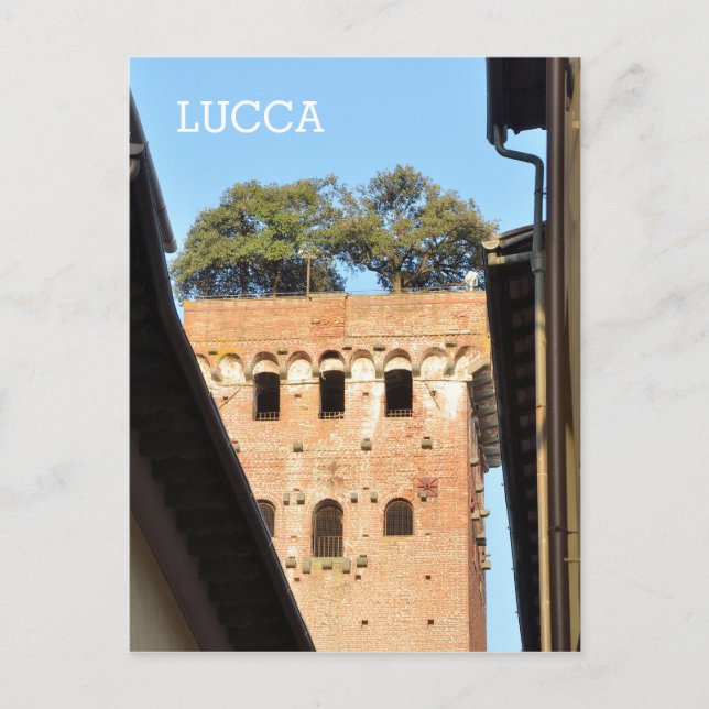 Lucca, Italien Postkarte (Vorderseite)