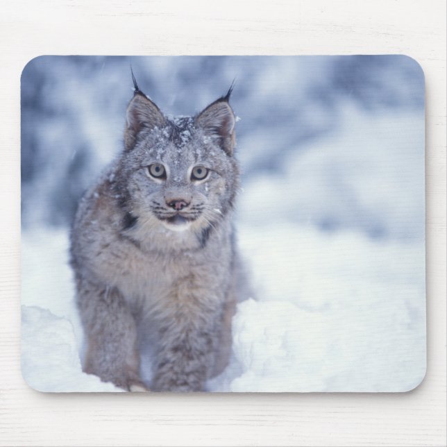 Luchs im Schnee im Vorland Mousepad (Vorne)