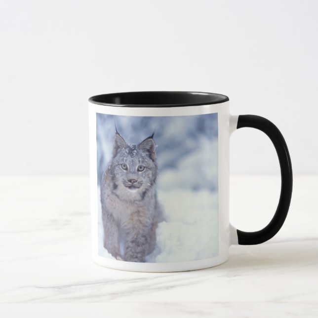 Luchs im Schnee im Vorland Tasse (Rechts)