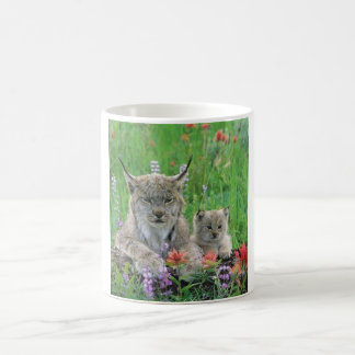 Luchs-Katze u. Kätzchen-niedliche Kaffeetasse
