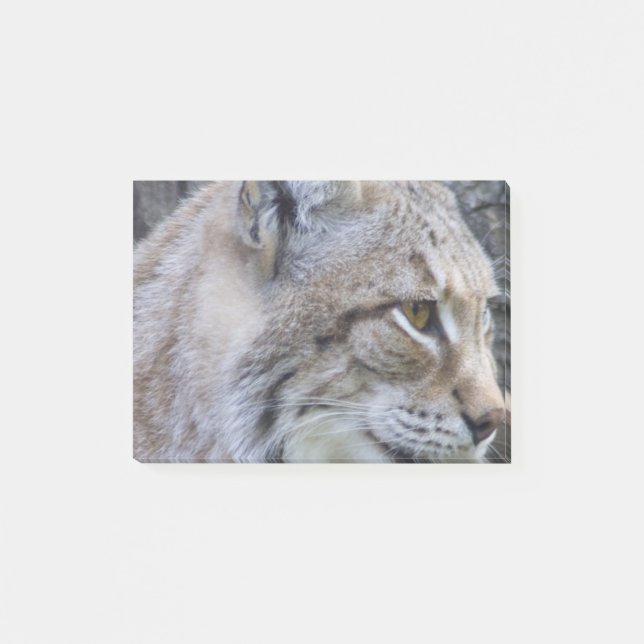 Luchs Post-it Klebezettel (Vorderseite)