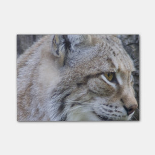 Luchs Post-it Klebezettel