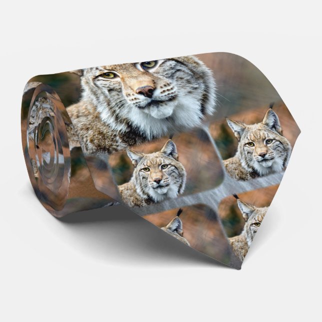 Luchs-Rotluchs-Tier-Fleischfresser-Katze Krawatte (Gerollt)