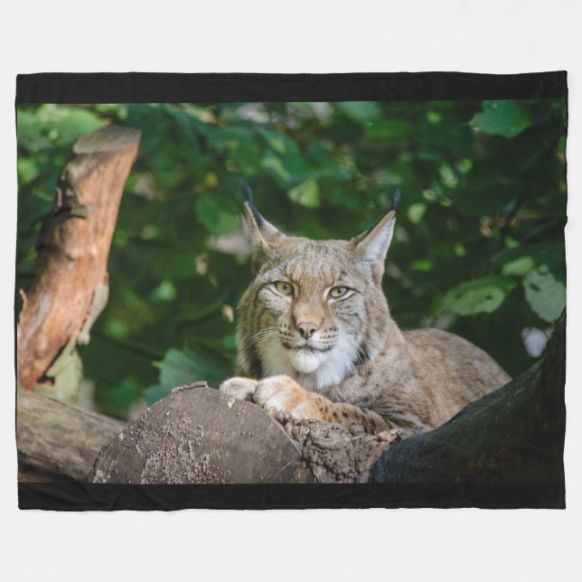 Luchs-Wildkatze auf Fleece-Decke Fleecedecke (Vorderseite (Horizontal))