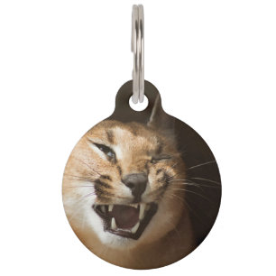 Luchsiger Luchs Haustiermarke