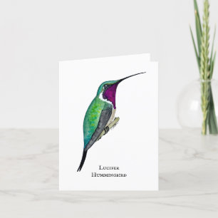 Lucifer Hummingbird Dankeskarte