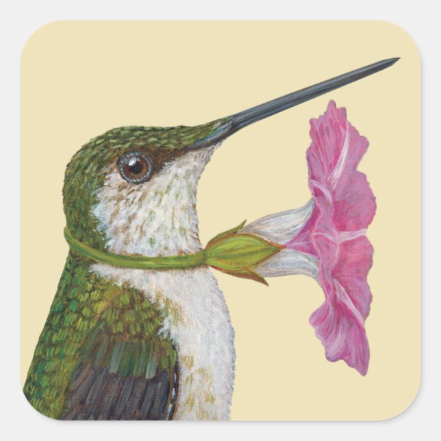 Lucinda die Kolibri-Aufkleber Quadratischer Aufkleber (Vorderseite)