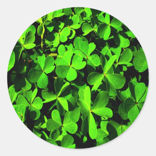 LuckClovers am St. Patrick's Day Runder Aufkleber (Vorderseite)