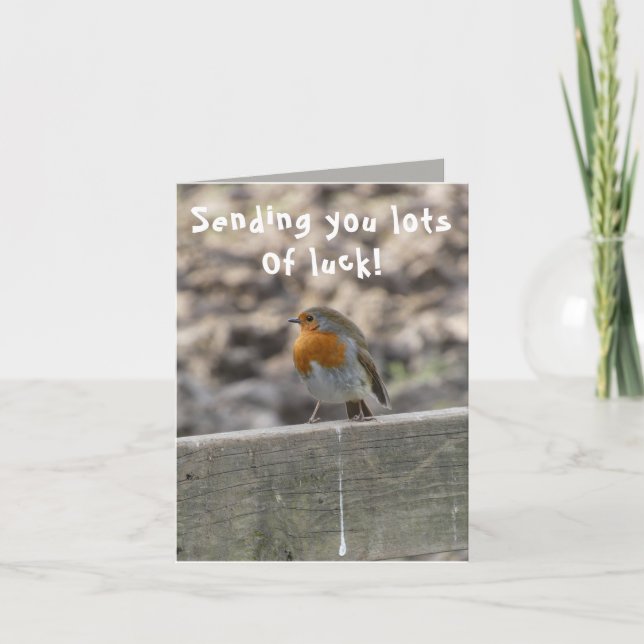 Lucky Bird Poo Bonne carte de chance (Devant)