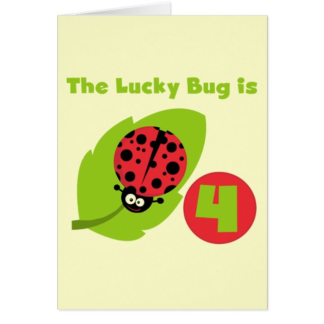 Lucky Bug 4. Geburtstag T - Shirt und Geschenke (Vorne)