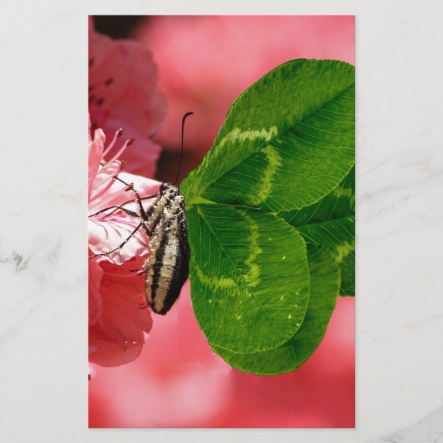 Lucky Butterfly Briefpapier (Vorderseite)