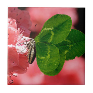 Lucky Butterfly Fliese