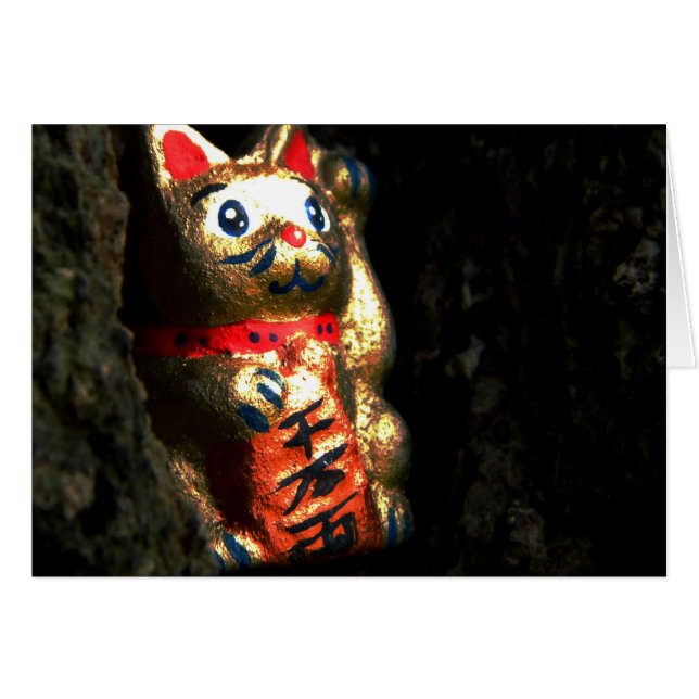 Lucky Cat in Bark (Vorderseite (Horizontal))
