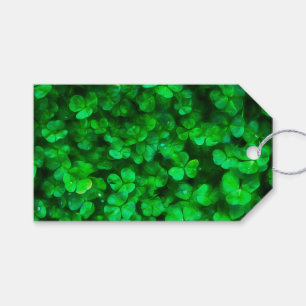 Lucky Celtic Irish Green Kleeblatts Geschenkanhänger