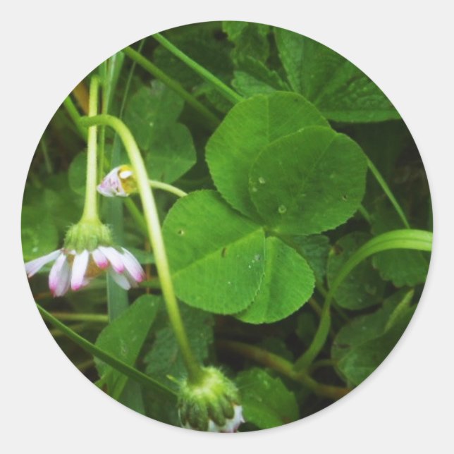 Lucky Charm Runder Aufkleber (Vorderseite)