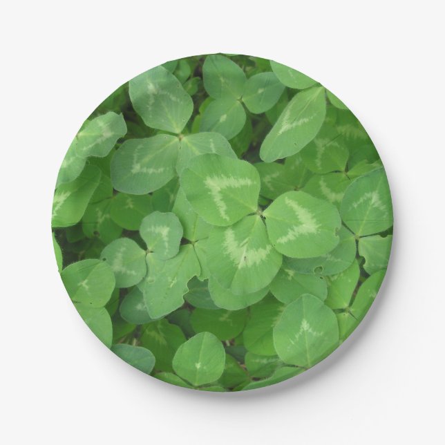 Lucky Clovers! Pappteller (Vorderseite)