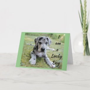 **LUCKY DOG LUCKY ME** SIE IN MEINEM LEBEN GEBURTS KARTE