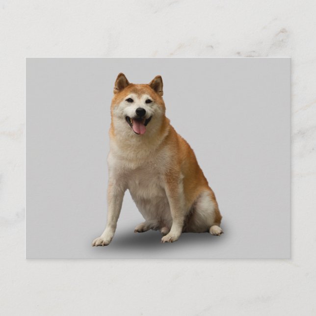 LUCKY DOG POSTKARTE (Vorderseite)