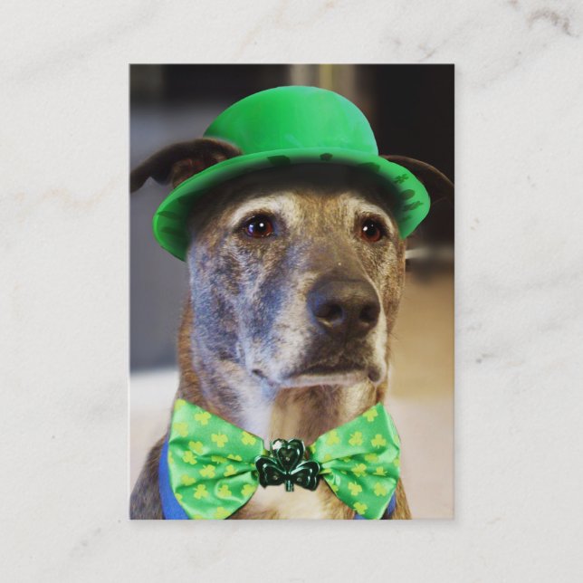 Lucky Dog Visitenkarte (Vorderseite)