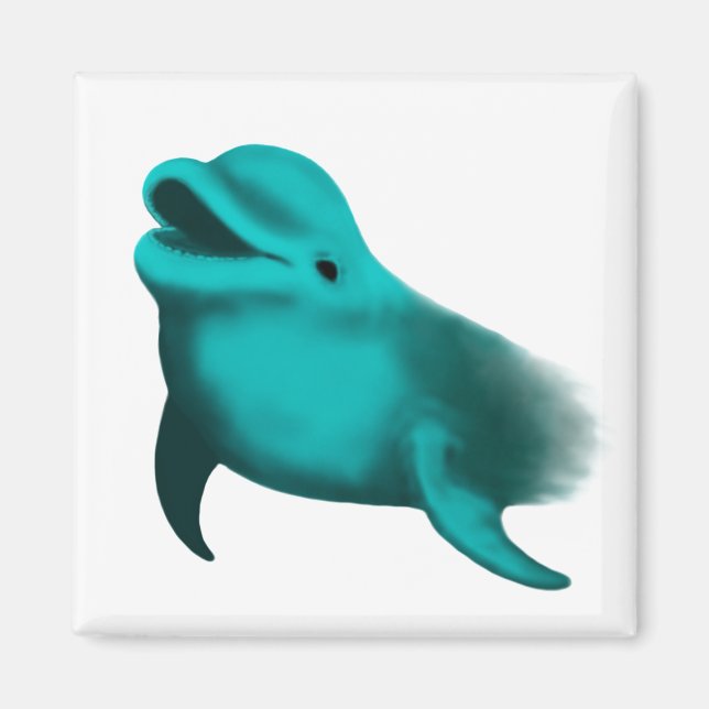 Lucky Dolphin Magnet (Vorne)