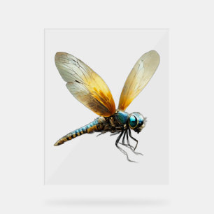 Lucky Dragonfly Acrylschild