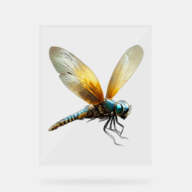 Lucky Dragonfly Acrylschild (Vorderseite)