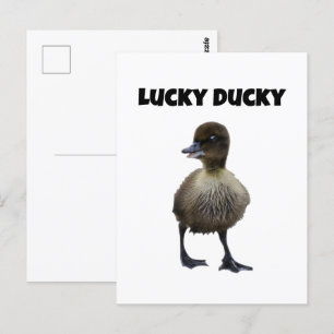 Lucky Duck Funny Duckling Bird Foto Postkarte