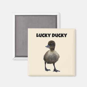 Lucky Duck Funny Niedlich Duckling Bird Foto Art Magnet