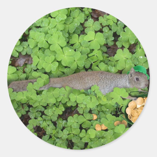 Lucky Eichhörnchen in Clovers Runder Aufkleber (Vorderseite)