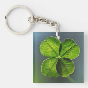 Lucky Green Real Vierblättriges Kleeblatt Schlüsse Schlüsselanhänger