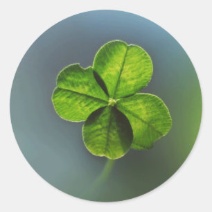 Lucky Green Vierblättriges Kleeblatt Runder Aufkleber