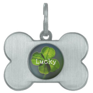 Lucky Green Vierblättriges Kleeblatt Tiermarke