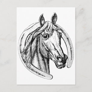 Lucky Horse Postkarte