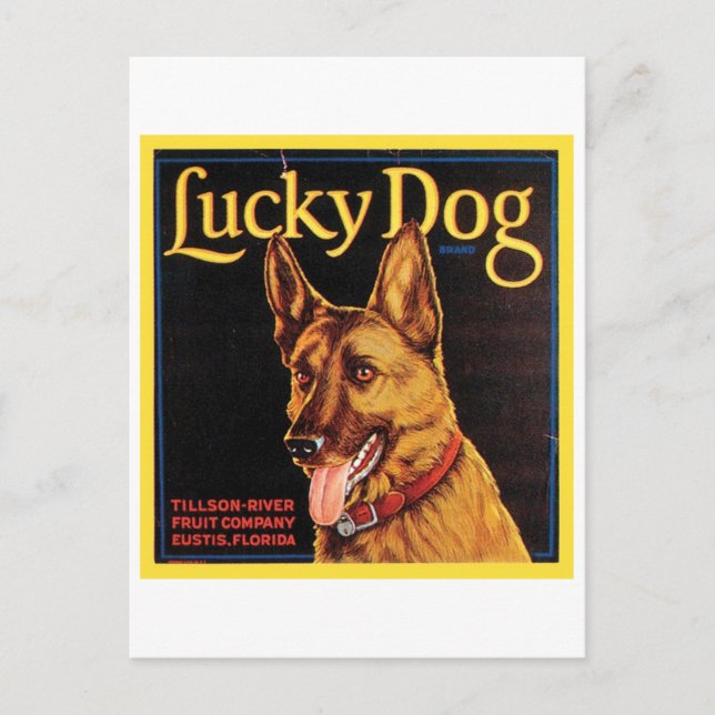Lucky Hund Vintages Kratetikett Postkarte (Vorderseite)