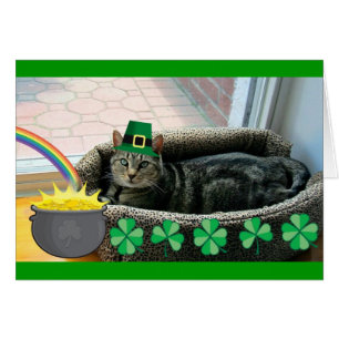 Lucky Irish Indigo