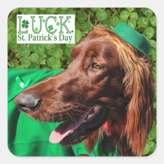 Lucky Irish Setter St. Patrick's Day Stickers (Vorderseite)